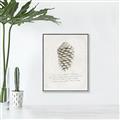 Picture of Pinecone Tidings I _GroupedProduct_Rectangle_Portrait_Canvas_Framed_