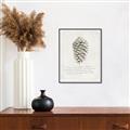 Picture of Pinecone Tidings I _GroupedProduct_Rectangle_Portrait_Canvas_Framed_