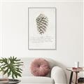Picture of Pinecone Tidings I _GroupedProduct_Rectangle_Portrait_Canvas_Framed_