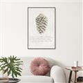 Picture of Pinecone Tidings I _GroupedProduct_Rectangle_Portrait_Canvas_Framed_