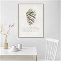 Picture of Pinecone Tidings I _GroupedProduct_Rectangle_Portrait_Canvas_Framed_