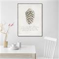 Picture of Pinecone Tidings I _GroupedProduct_Rectangle_Portrait_Canvas_Framed_
