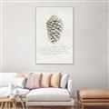 Picture of Pinecone Tidings I _GroupedProduct_Rectangle_Portrait_Canvas_Framed_