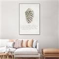 Picture of Pinecone Tidings I _GroupedProduct_Rectangle_Portrait_Canvas_Framed_