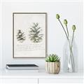 Picture of Pinecone Tidings II _GroupedProduct_Rectangle_Portrait_Canvas_Framed_