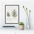 Picture of Pinecone Tidings II _GroupedProduct_Rectangle_Portrait_Canvas_Framed_
