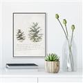 Picture of Pinecone Tidings II _GroupedProduct_Rectangle_Portrait_Canvas_Framed_