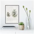 Picture of Pinecone Tidings II _GroupedProduct_Rectangle_Portrait_Canvas_Framed_