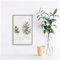 Picture of Pinecone Tidings II _GroupedProduct_Rectangle_Portrait_Canvas_Framed_
