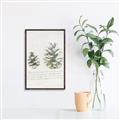 Picture of Pinecone Tidings II _GroupedProduct_Rectangle_Portrait_Canvas_Framed_