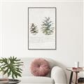 Picture of Pinecone Tidings II _GroupedProduct_Rectangle_Portrait_Canvas_Framed_