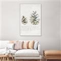 Picture of Pinecone Tidings II _GroupedProduct_Rectangle_Portrait_Canvas_Framed_