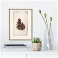 Picture of Nature's Holiday Charm I _GroupedProduct_Rectangle_Portrait_Canvas_Framed_