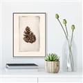 Picture of Nature's Holiday Charm I _GroupedProduct_Rectangle_Portrait_Canvas_Framed_