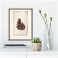 Picture of Nature's Holiday Charm I _GroupedProduct_Rectangle_Portrait_Canvas_Framed_