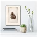 Picture of Nature's Holiday Charm I _GroupedProduct_Rectangle_Portrait_Canvas_Framed_