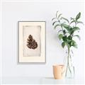 Picture of Nature's Holiday Charm I _GroupedProduct_Rectangle_Portrait_Canvas_Framed_