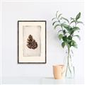 Picture of Nature's Holiday Charm I _GroupedProduct_Rectangle_Portrait_Canvas_Framed_