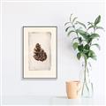 Picture of Nature's Holiday Charm I _GroupedProduct_Rectangle_Portrait_Canvas_Framed_