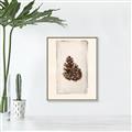 Picture of Nature's Holiday Charm I _GroupedProduct_Rectangle_Portrait_Canvas_Framed_