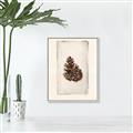 Picture of Nature's Holiday Charm I _GroupedProduct_Rectangle_Portrait_Canvas_Framed_