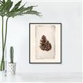 Picture of Nature's Holiday Charm I _GroupedProduct_Rectangle_Portrait_Canvas_Framed_