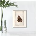 Picture of Nature's Holiday Charm I _GroupedProduct_Rectangle_Portrait_Canvas_Framed_