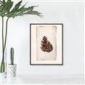 Picture of Nature's Holiday Charm I _GroupedProduct_Rectangle_Portrait_Canvas_Framed_