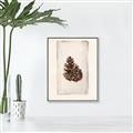 Picture of Nature's Holiday Charm I _GroupedProduct_Rectangle_Portrait_Canvas_Framed_
