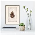 Picture of Nature's Holiday Charm II _GroupedProduct_Rectangle_Portrait_Canvas_Framed_