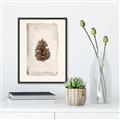 Picture of Nature's Holiday Charm II _GroupedProduct_Rectangle_Portrait_Canvas_Framed_
