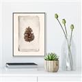 Picture of Nature's Holiday Charm II _GroupedProduct_Rectangle_Portrait_Canvas_Framed_