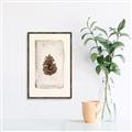 Picture of Nature's Holiday Charm II _GroupedProduct_Rectangle_Portrait_Canvas_Framed_