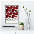 Picture of Poinsettia _GroupedProduct_Rectangle_Portrait_Canvas_Framed_