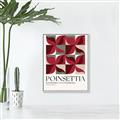 Picture of Poinsettia _GroupedProduct_Rectangle_Portrait_Canvas_Framed_