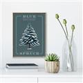 Picture of Blue Spruce _GroupedProduct_Rectangle_Portrait_Canvas_Framed_