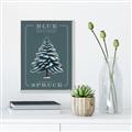 Picture of Blue Spruce _GroupedProduct_Rectangle_Portrait_Canvas_Framed_