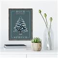 Picture of Blue Spruce _GroupedProduct_Rectangle_Portrait_Canvas_Framed_
