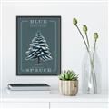 Picture of Blue Spruce _GroupedProduct_Rectangle_Portrait_Canvas_Framed_