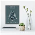 Picture of Blue Spruce _GroupedProduct_Rectangle_Portrait_Canvas_Framed_
