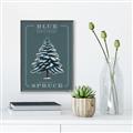 Picture of Blue Spruce _GroupedProduct_Rectangle_Portrait_Canvas_Framed_