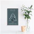 Picture of Blue Spruce _GroupedProduct_Rectangle_Portrait_Canvas_Framed_