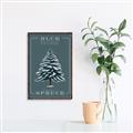 Picture of Blue Spruce _GroupedProduct_Rectangle_Portrait_Canvas_Framed_