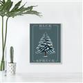 Picture of Blue Spruce _GroupedProduct_Rectangle_Portrait_Canvas_Framed_