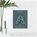 Picture of Blue Spruce _GroupedProduct_Rectangle_Portrait_Canvas_Framed_