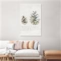 Picture of Pinecone Tidings II _GroupedProduct_Rectangle_Portrait_Unframed_Print_Only_