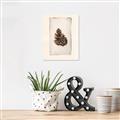 Picture of Nature's Holiday Charm I _GroupedProduct_Rectangle_Portrait_Unframed_Print_Only_