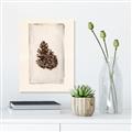Picture of Nature's Holiday Charm I _GroupedProduct_Rectangle_Portrait_Unframed_Print_Only_