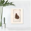 Picture of Nature's Holiday Charm I _GroupedProduct_Rectangle_Portrait_Unframed_Print_Only_