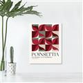 Picture of Poinsettia _GroupedProduct_Rectangle_Portrait_Unframed_Print_Only_